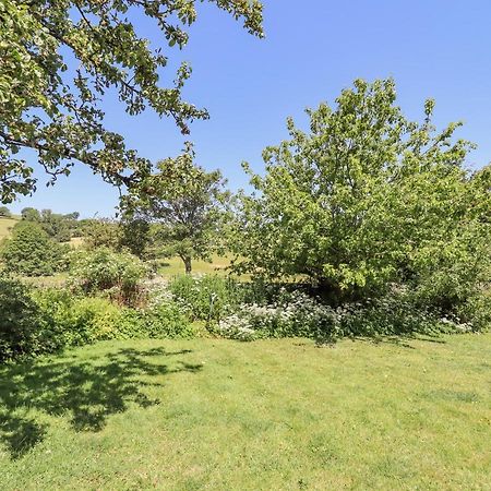 Dyffryn Bach Villa Rug Bagian luar foto
