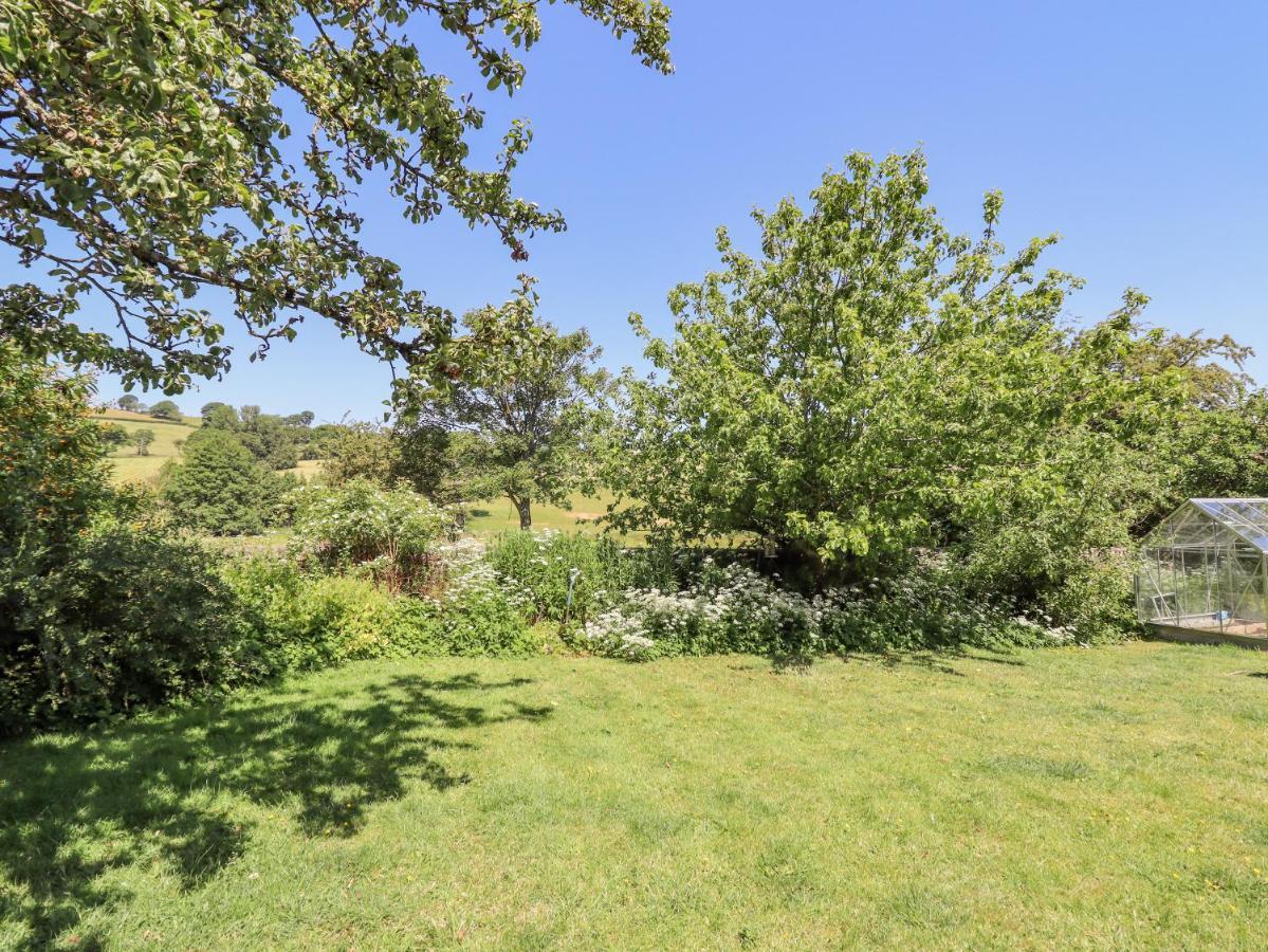 Dyffryn Bach Villa Rug Bagian luar foto